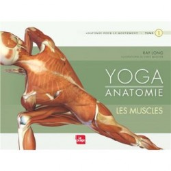 Yoga Anatomie - les muscles